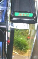 refugium.jpg