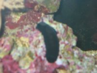 slug.jpg