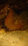 dsc00713-small.jpg