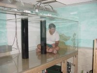 clean-inside.jpg