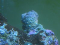 snail.jpg