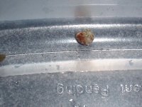 snail_circle (2).jpg