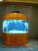 corner tank.jpg