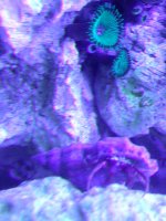 dscn0374.jpg