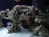 DSC08134.JPG