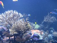 IMG_0958.jpg