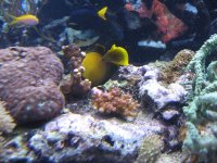 IMG_0994.jpg