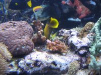 IMG_0995.jpg