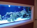 DSC08149.JPG