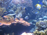 IMG_1062.jpg