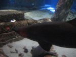 IMG_1209.jpg