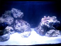 Rockwork 1.jpg