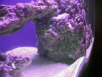 dscn4643.gif