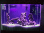 dscn4642.gif