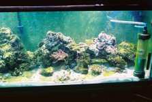 78ring5-r1-046-21a.jpg