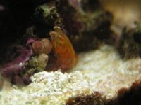 z2 pics 040.jpg