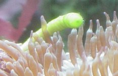 plant.jpg
