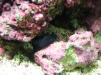 DSCN0900.jpg