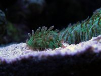dscf1847.jpg
