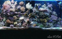 dscf14641.jpg