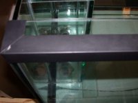 close ups of tank 003.jpg