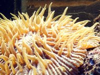 S2010018.JPG