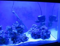 03122005right.JPG