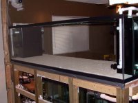 Starboard in the tank 001.jpg