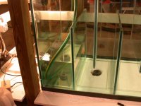 Filling the sump and tank 002.jpg