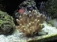 DVC00013.JPG
