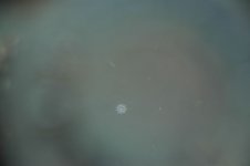 DSC_0155.jpg