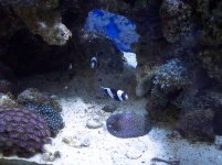 100_0763.JPG