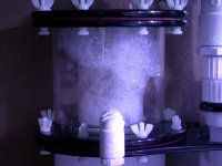 Rock 007.jpg
