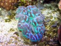 img_01288.jpg