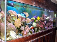 img_0135 (custom).jpg