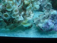 DSC02230.JPG