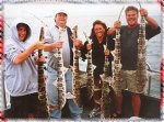 shark061301cov.jpg