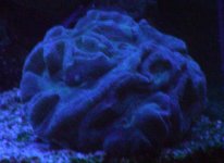 DSCN1395.JPG