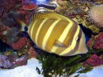 IMG_0419.JPG