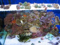 IMG_0468.JPG