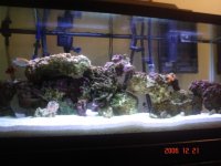 75 gallon tank 005.jpg
