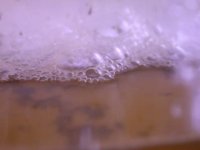 Fish 030.jpg