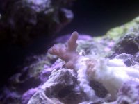 Fish 057.jpg