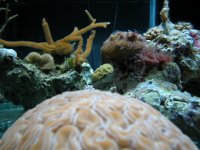 DSCN3045.JPG