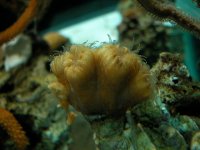 DSCN3058.JPG