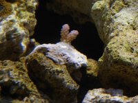 DSCN0839.jpg