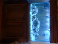DSCF0041.JPG