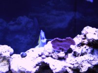 Picture 025.jpg