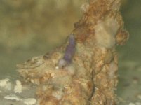 IMG_0843.JPG