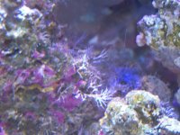 100_0318.JPG